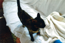helfer_201905_002.png