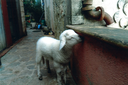 helfer_201905_004.png