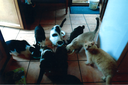 helfer_201905_008.png