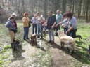 wanderung_01.jpg