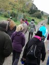 wanderung27.jpg
