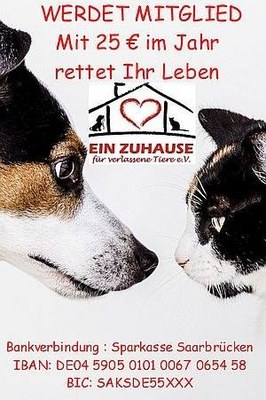 mitgliedsbeitrag2020.jpg