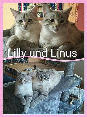 Lilly und Linus